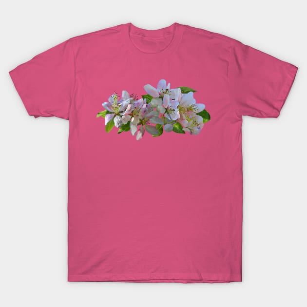 Apple Blossoms T-Shirt by SusanSavad